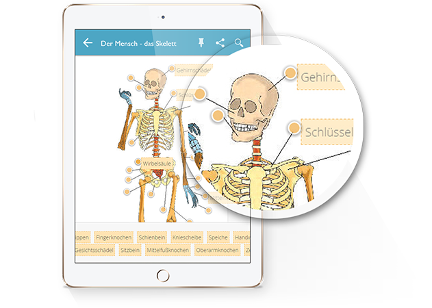 screenshot_quizzes_005_tablet_DE